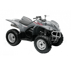 YFM450 Wolverine (06-09)